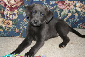 babyimg_1513.jpg